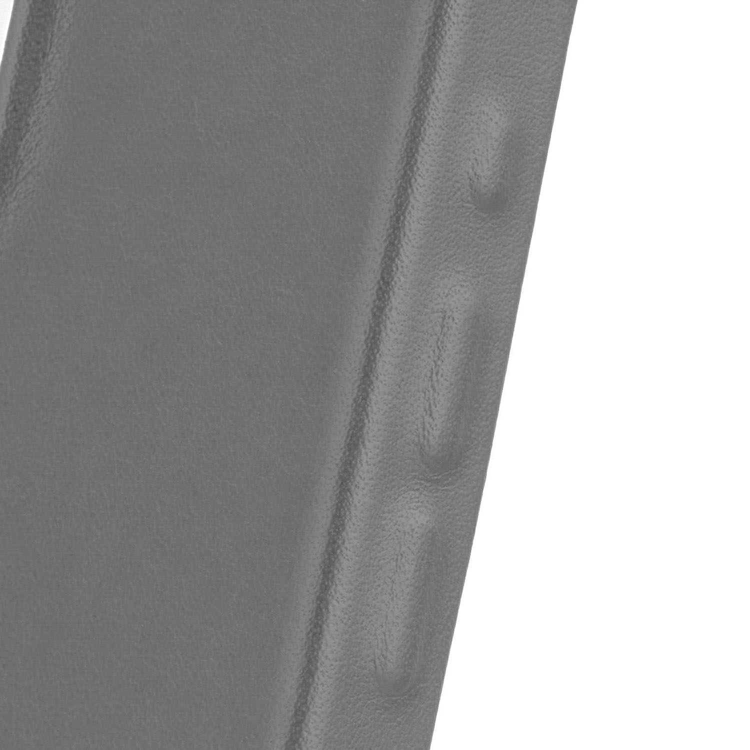 CS455GR69PCP-I24M-10